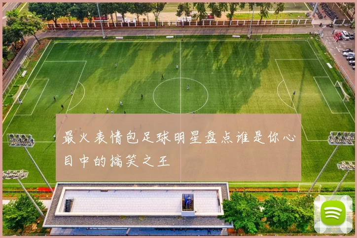 最火表情包足球明星盘点谁是你心目中的搞笑之王