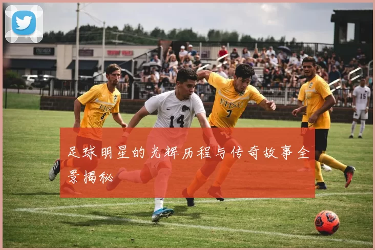 足球明星的光辉历程与传奇故事全景揭秘