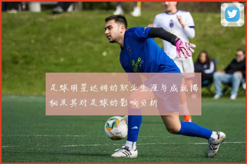 足球明星达姆的职业生涯与成就揭秘及其对足球的影响分析